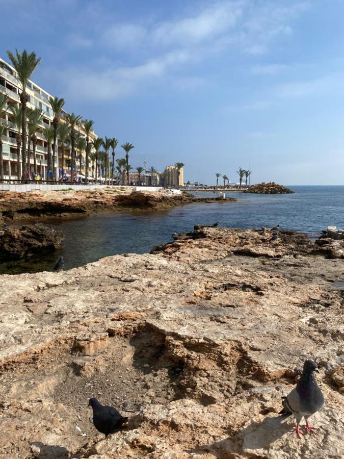 Appartement Vue Laterale Mer Torrevieja Dış mekan fotoğraf